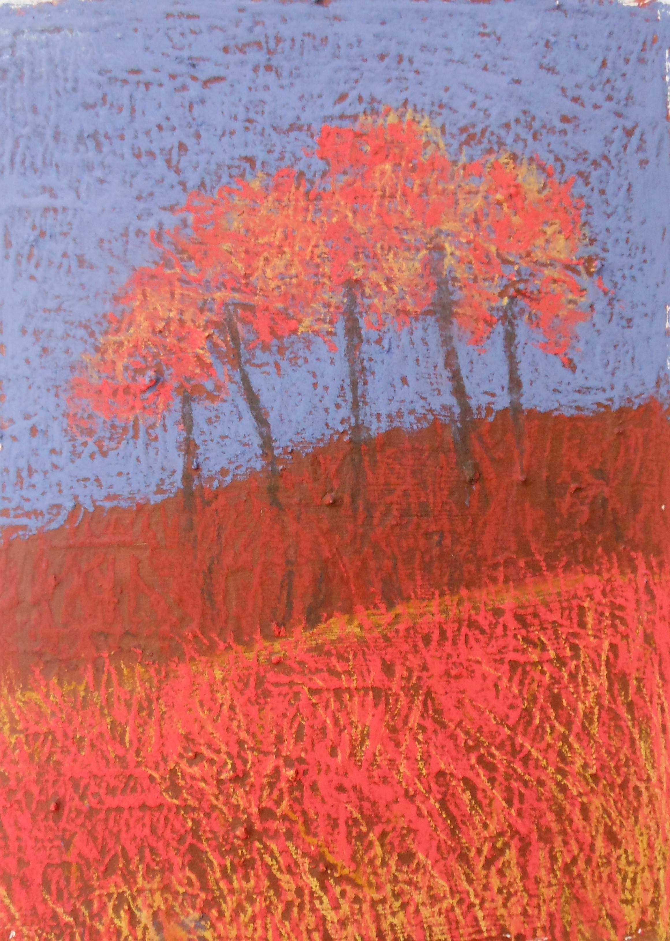 Well Dressings Bakewell